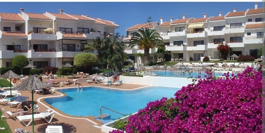 Marsureno Los Cristianos  Los Cristianos (Tenerife)